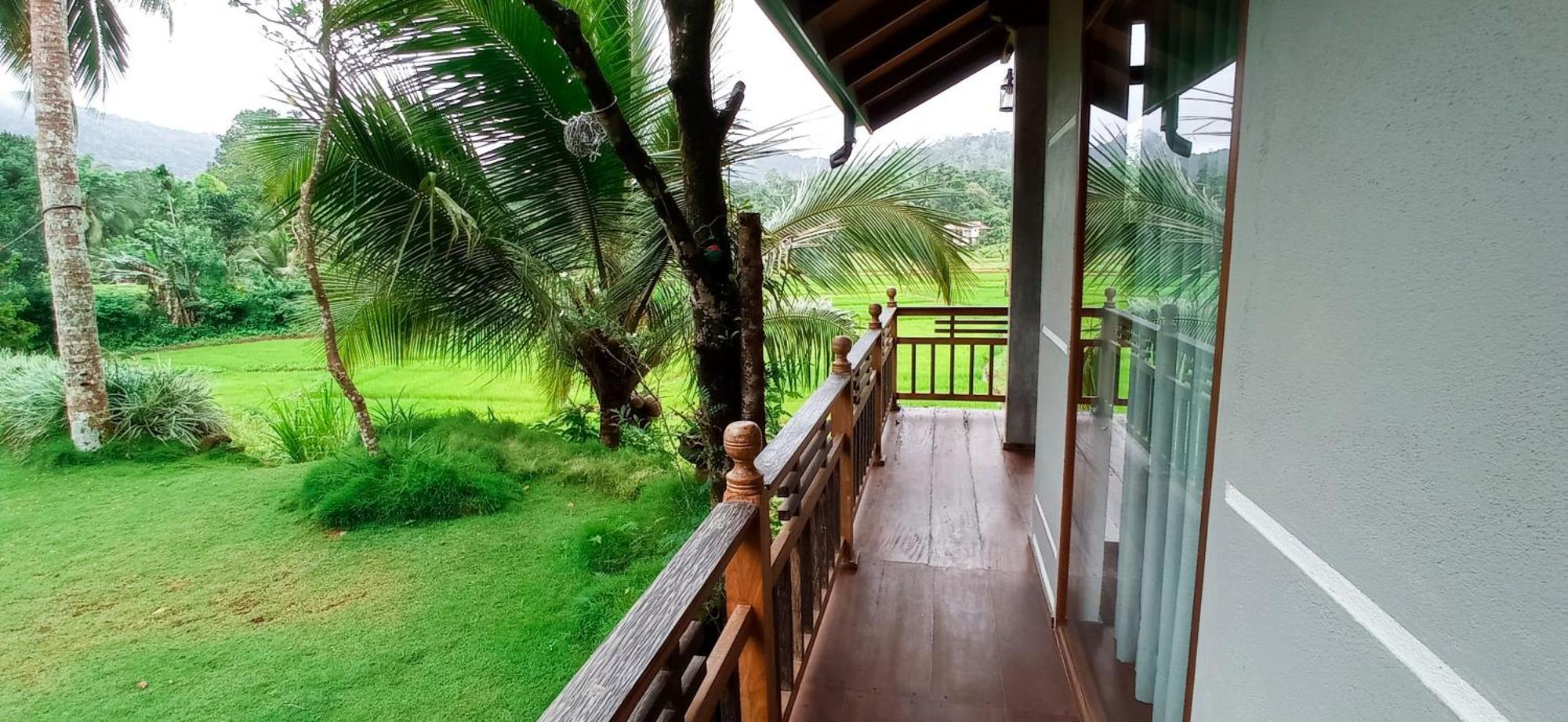 Rainforest Nest デニヤヤ エクステリア 写真