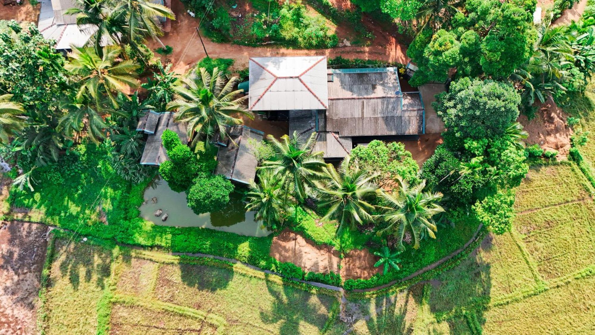 Rainforest Nest デニヤヤ エクステリア 写真